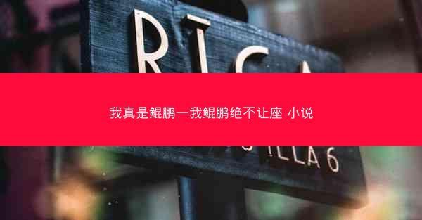 我真是鲲鹏—我鲲鹏绝不让座 小说