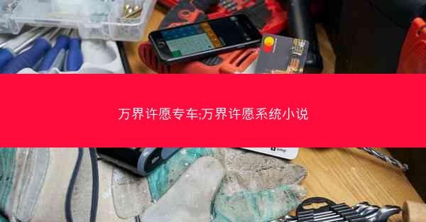 万界许愿专车;万界许愿系统小说