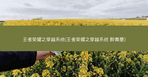 王者荣耀之穿越系统(王者荣耀之穿越系统 醉舞墨)