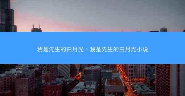我是先生的白月光、我是先生的白月光小说
