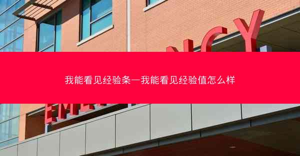 我能看见经验条—我能看见经验值怎么样