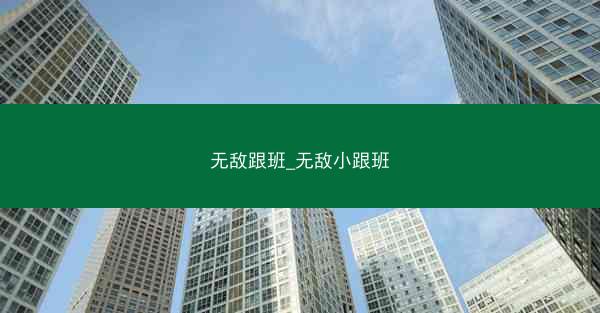 无敌跟班_无敌小跟班