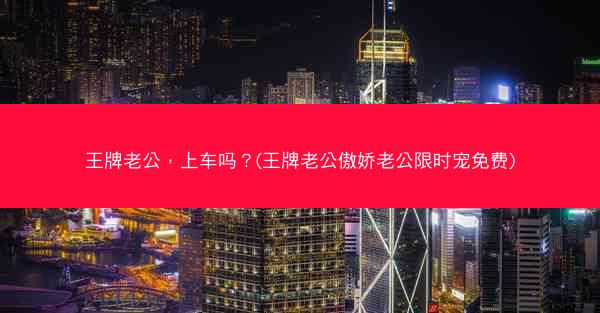 王牌老公，上车吗？(王牌老公傲娇老公限时宠免费)