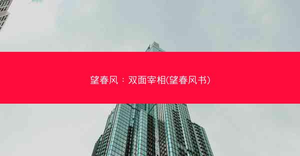 望春风：双面宰相(望春风书)