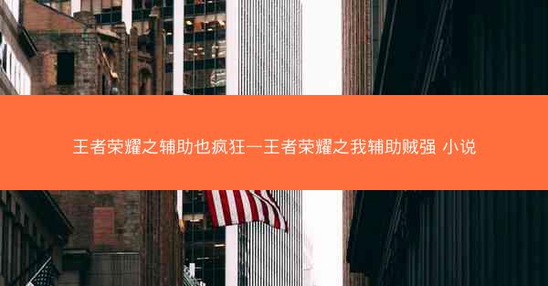 王者荣耀之辅助也疯狂—王者荣耀之我辅助贼强 小说