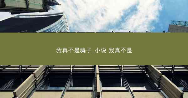 我真不是骗子_小说 我真不是