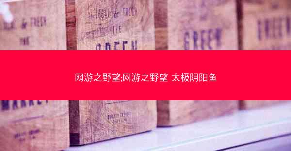 网游之野望;网游之野望 太极阴阳鱼