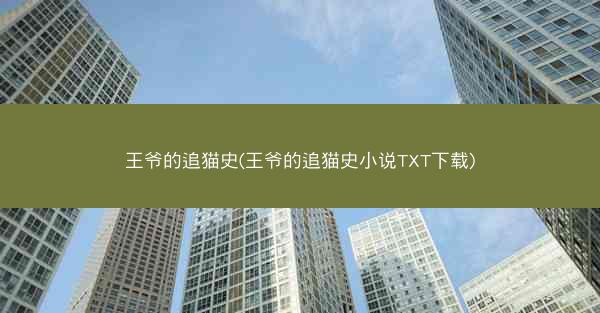 王爷的追猫史(王爷的追猫史小说TXT下载)