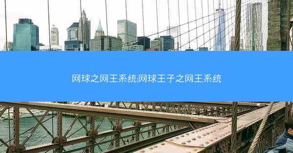 网球之网王系统;网球王子之网王系统