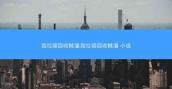 我垃圾回收贼溜;我垃圾回收贼溜 小说