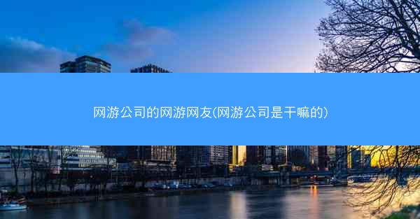 网游公司的网游网友(网游公司是干嘛的)