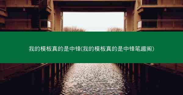 我的模板真的是中锋(我的模板真的是中锋笔趣阁)