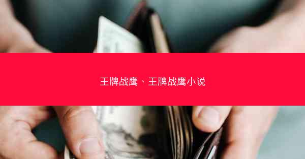 王牌战鹰、王牌战鹰小说