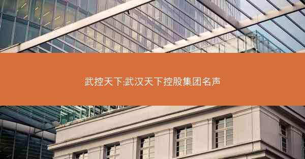 武控天下;武汉天下控股集团名声