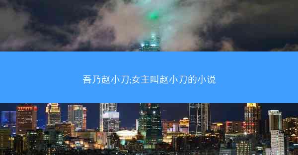 吾乃赵小刀;女主叫赵小刀的小说