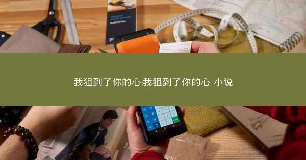 我狙到了你的心;我狙到了你的心 小说