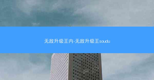 无敌升级王内-无敌升级王soudu