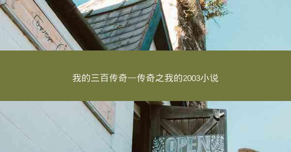 我的三百传奇—传奇之我的2003小说