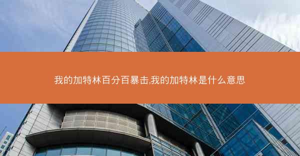 我的加特林百分百暴击,我的加特林是什么意思