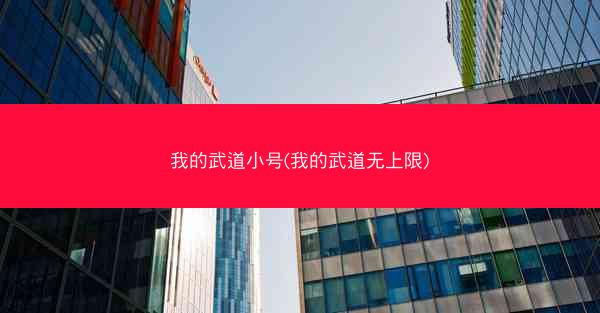 我的武道小号(我的武道无上限)