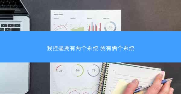 我挂逼拥有两个系统-我有俩个系统
