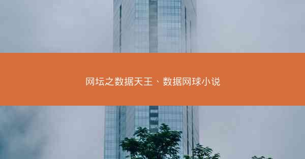 网坛之数据天王、数据网球小说