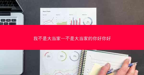 我不是大当家—不是大当家的你好你好