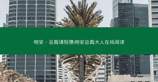 吻安，总裁请轻撩;吻安总裁大人在线阅读