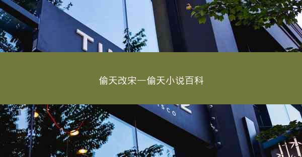 偷天改宋—偷天小说百科