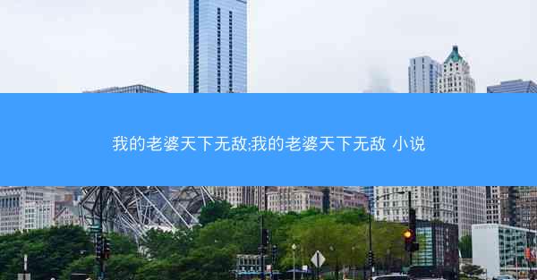 我的老婆天下无敌;我的老婆天下无敌 小说