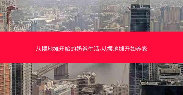 从摆地摊开始的奶爸生活-从摆地摊开始养家