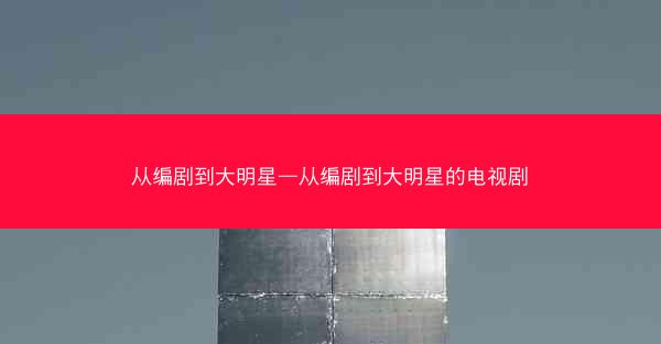 从编剧到大明星—从编剧到大明星的电视剧