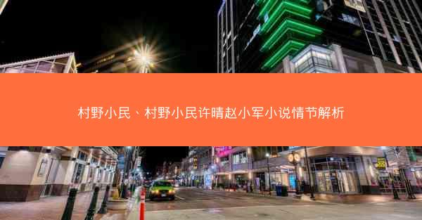 村野小民、村野小民许晴赵小军小说情节解析