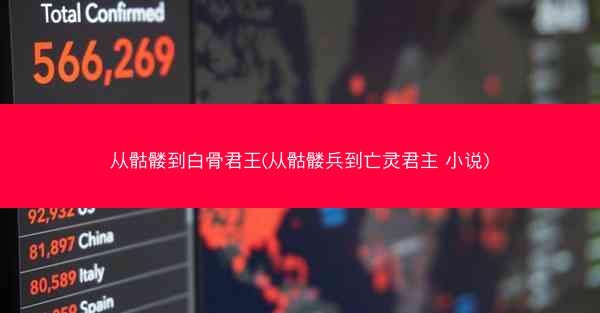 从骷髅到白骨君王(从骷髅兵到亡灵君主 小说)