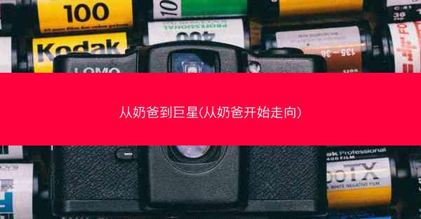 从奶爸到巨星(从奶爸开始走向)