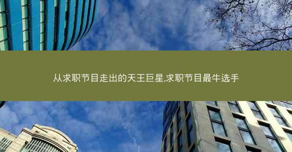 从求职节目走出的天王巨星,求职节目最牛选手