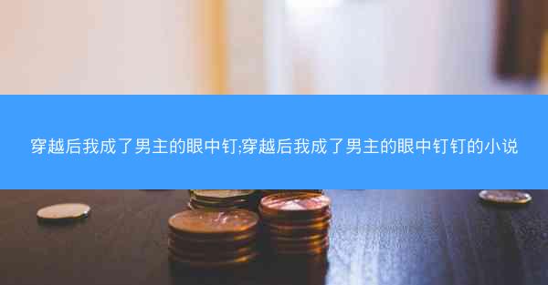穿越后我成了男主的眼中钉;穿越后我成了男主的眼中钉钉的小说