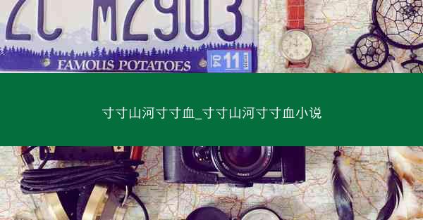 寸寸山河寸寸血_寸寸山河寸寸血小说