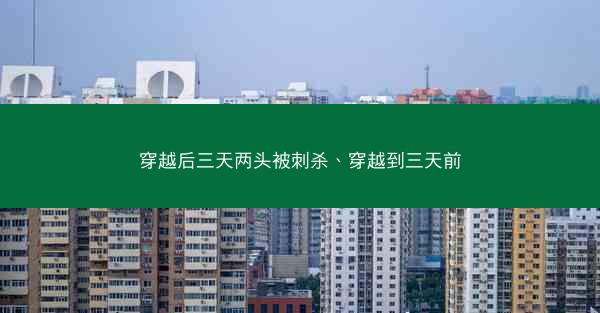 穿越后三天两头被刺杀、穿越到三天前