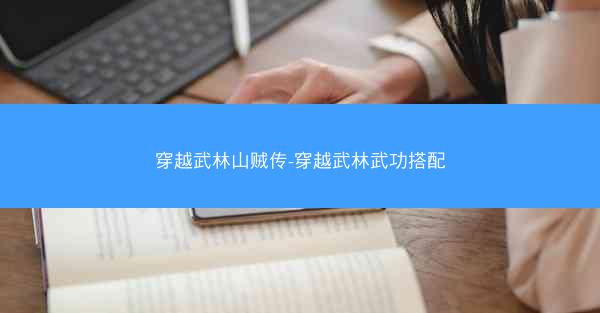 穿越武林山贼传-穿越武林武功搭配