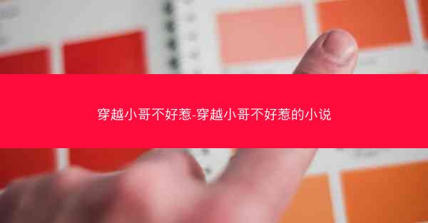 穿越小哥不好惹-穿越小哥不好惹的小说