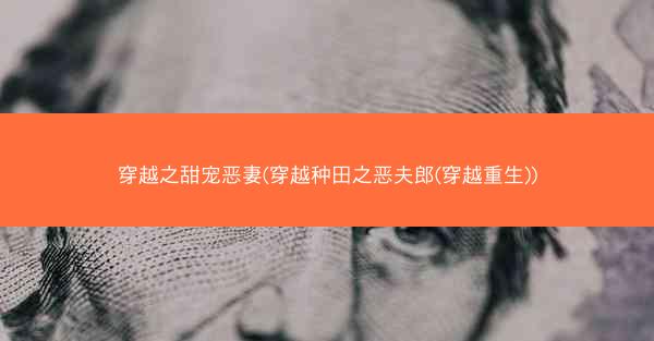 穿越之甜宠恶妻(穿越种田之恶夫郎(穿越重生))