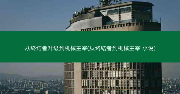 从终结者升级到机械主宰(从终结者到机械主宰 小说)