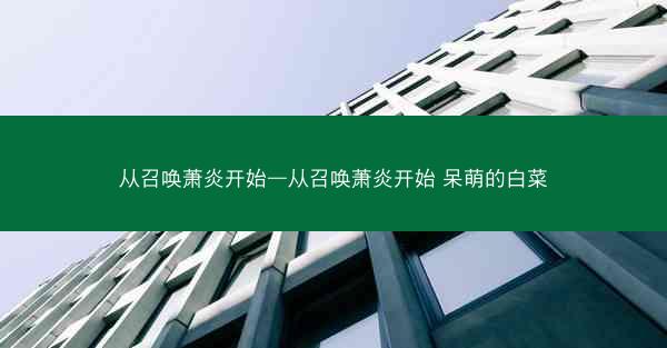 从召唤萧炎开始—从召唤萧炎开始 呆萌的白菜