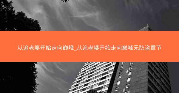 从追老婆开始走向巅峰_从追老婆开始走向巅峰无防盗章节