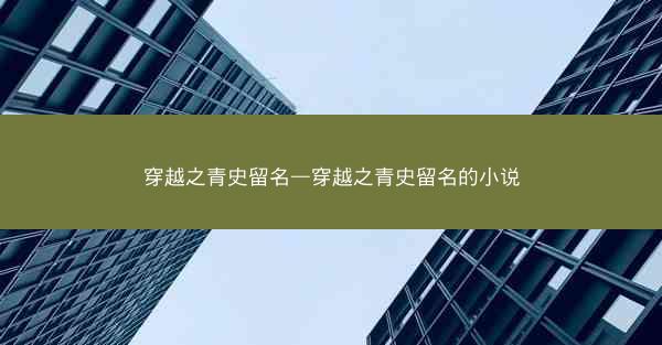 穿越之青史留名—穿越之青史留名的小说