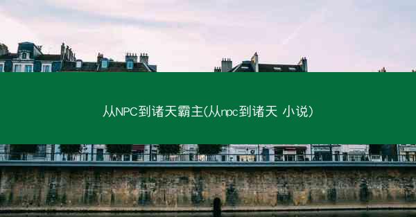 从NPC到诸天霸主(从npc到诸天 小说)