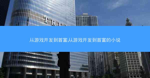 从游戏开发到首富;从游戏开发到首富的小说