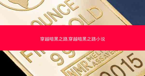 穿越暗黑之路,穿越暗黑之路小说