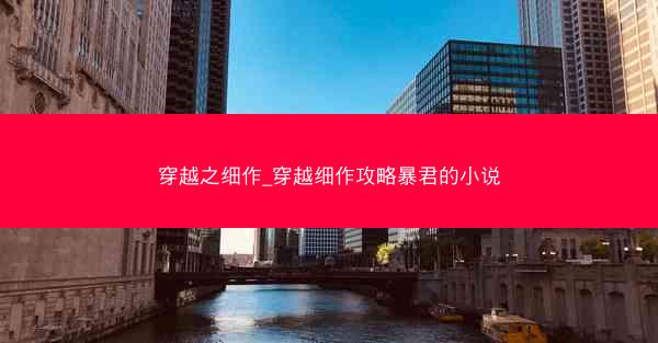穿越之细作_穿越细作攻略暴君的小说